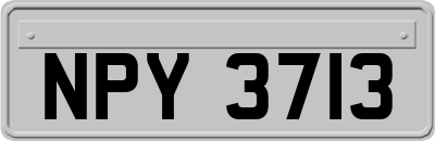 NPY3713
