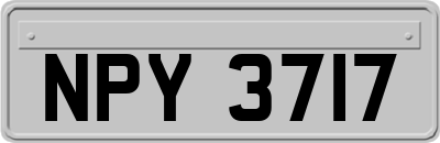 NPY3717