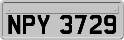 NPY3729