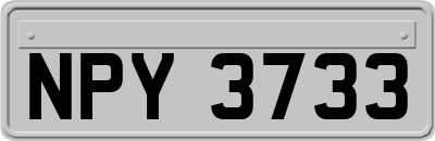 NPY3733