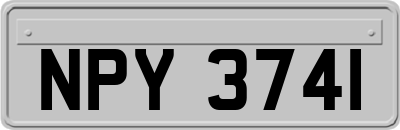 NPY3741