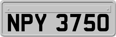 NPY3750