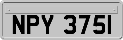 NPY3751