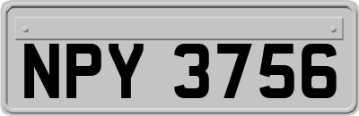 NPY3756