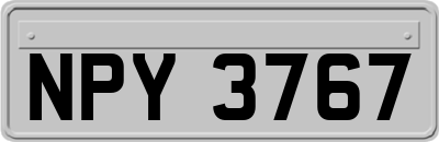 NPY3767