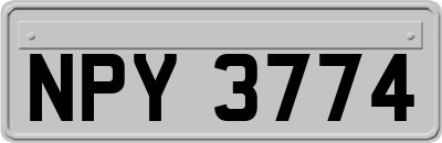 NPY3774