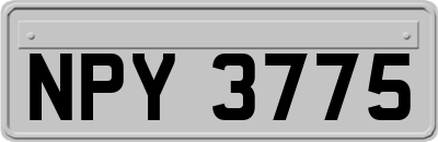 NPY3775