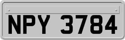 NPY3784