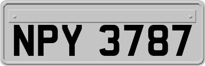 NPY3787