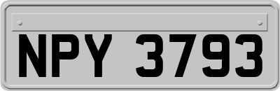 NPY3793