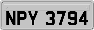 NPY3794