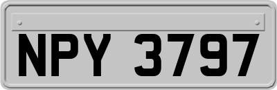 NPY3797