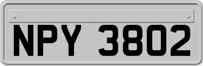 NPY3802