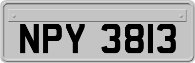 NPY3813
