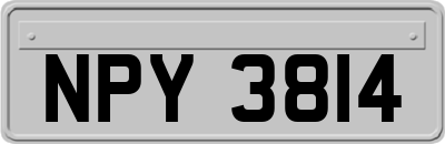 NPY3814