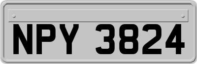 NPY3824
