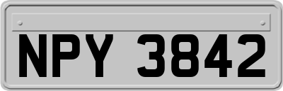 NPY3842