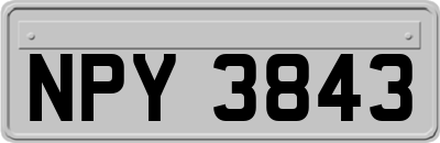 NPY3843