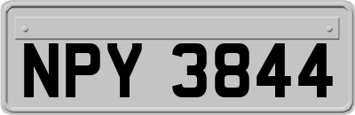 NPY3844