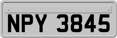 NPY3845
