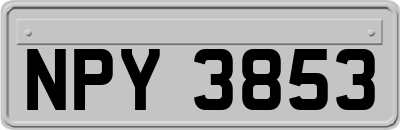 NPY3853