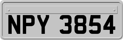 NPY3854