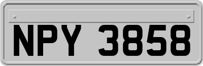 NPY3858