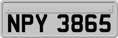 NPY3865