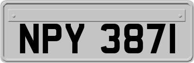 NPY3871
