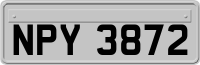 NPY3872