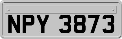 NPY3873