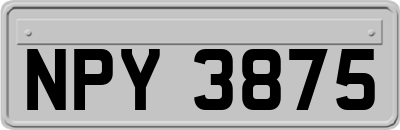 NPY3875