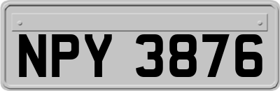 NPY3876