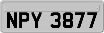 NPY3877