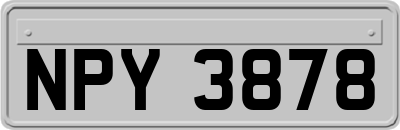 NPY3878