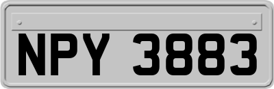 NPY3883