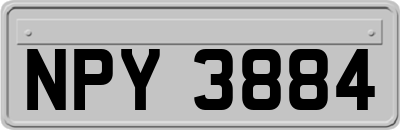 NPY3884