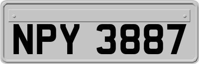 NPY3887