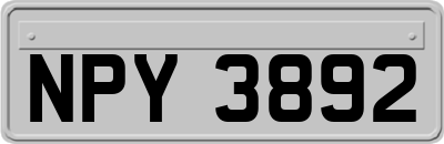 NPY3892