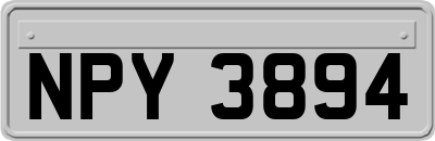 NPY3894