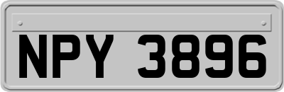 NPY3896