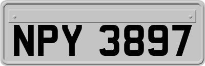 NPY3897
