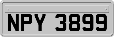 NPY3899