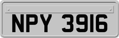 NPY3916