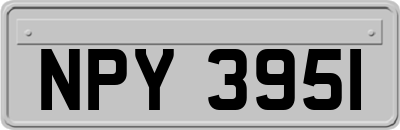 NPY3951