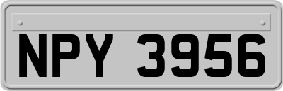 NPY3956