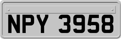 NPY3958