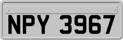 NPY3967