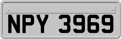 NPY3969