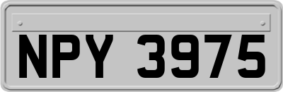 NPY3975